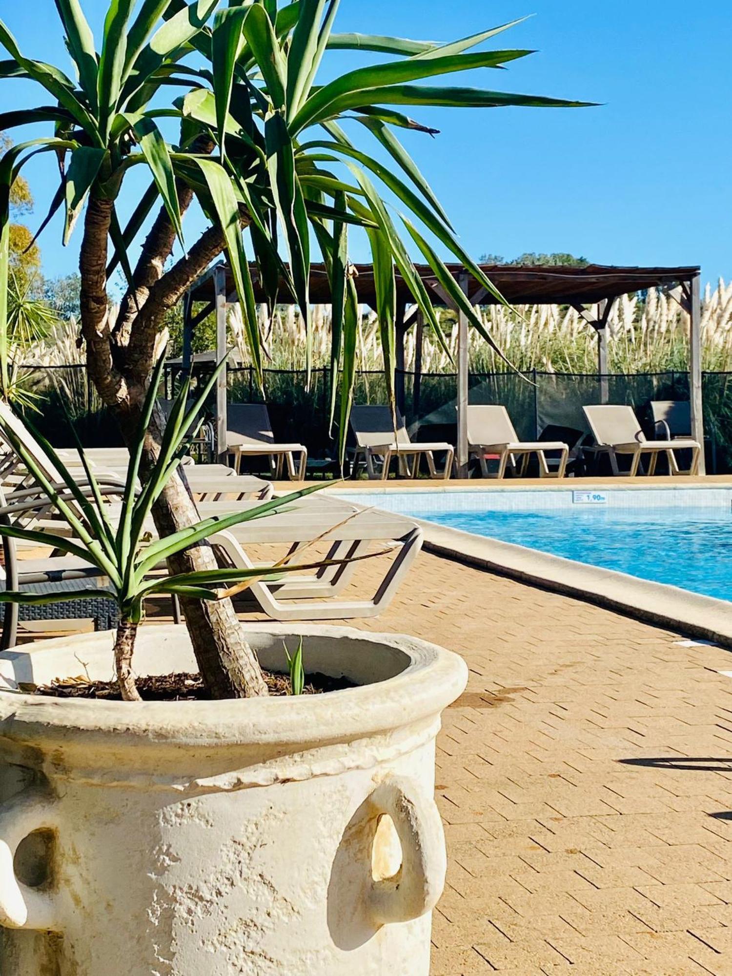 Hotel Le Mas Des Ponts D'Arles Zewnętrze zdjęcie